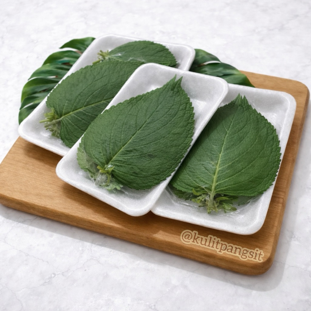 Daun Wijen Korea Korean Bbq Perilla Shiso Sesame Leaf Kenip Kkaennip Plant