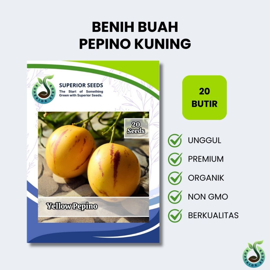 Biji Benih Buah Pepino Kuning | Melon Pepino Segar & Manis (Superior Seeds)