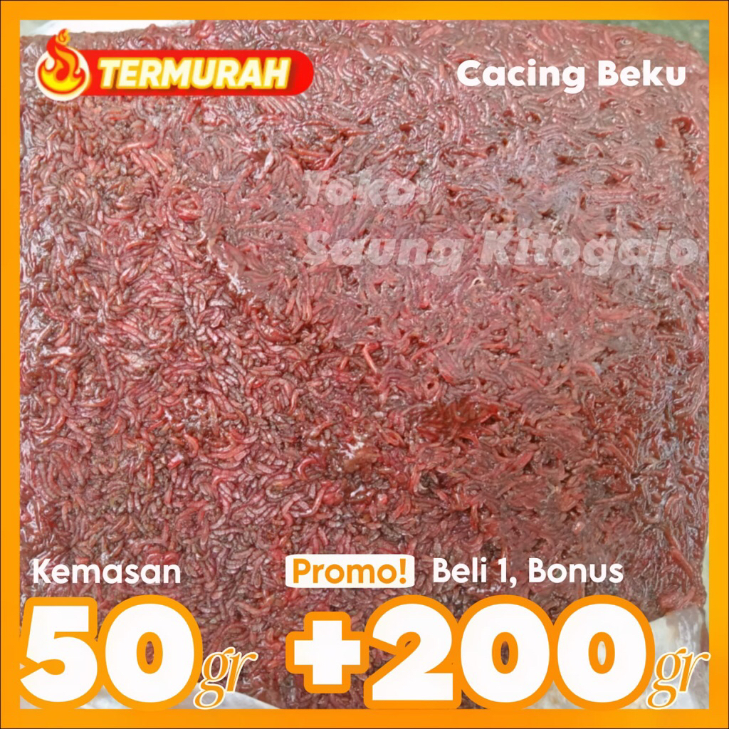 Cacing Beku Pakan Ikan Cupang - Cacing Darah Beku Cacing Sutra Beku Cacing Merah Beku Bloodworm