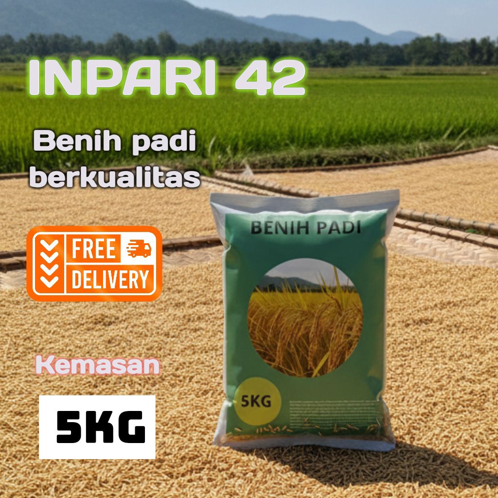 BENIH PADI INPARI 42 KUALITAS PREMIUM KEMASAN 5KG