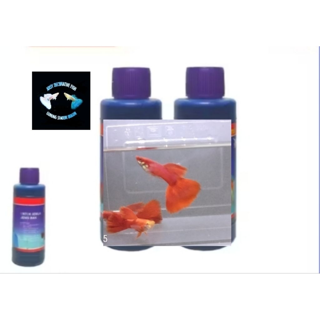 obat ikan, Guppy afr 1pasang