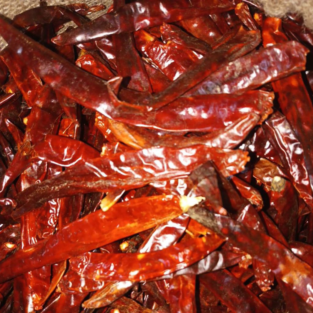 cabe wonder hot (WH)