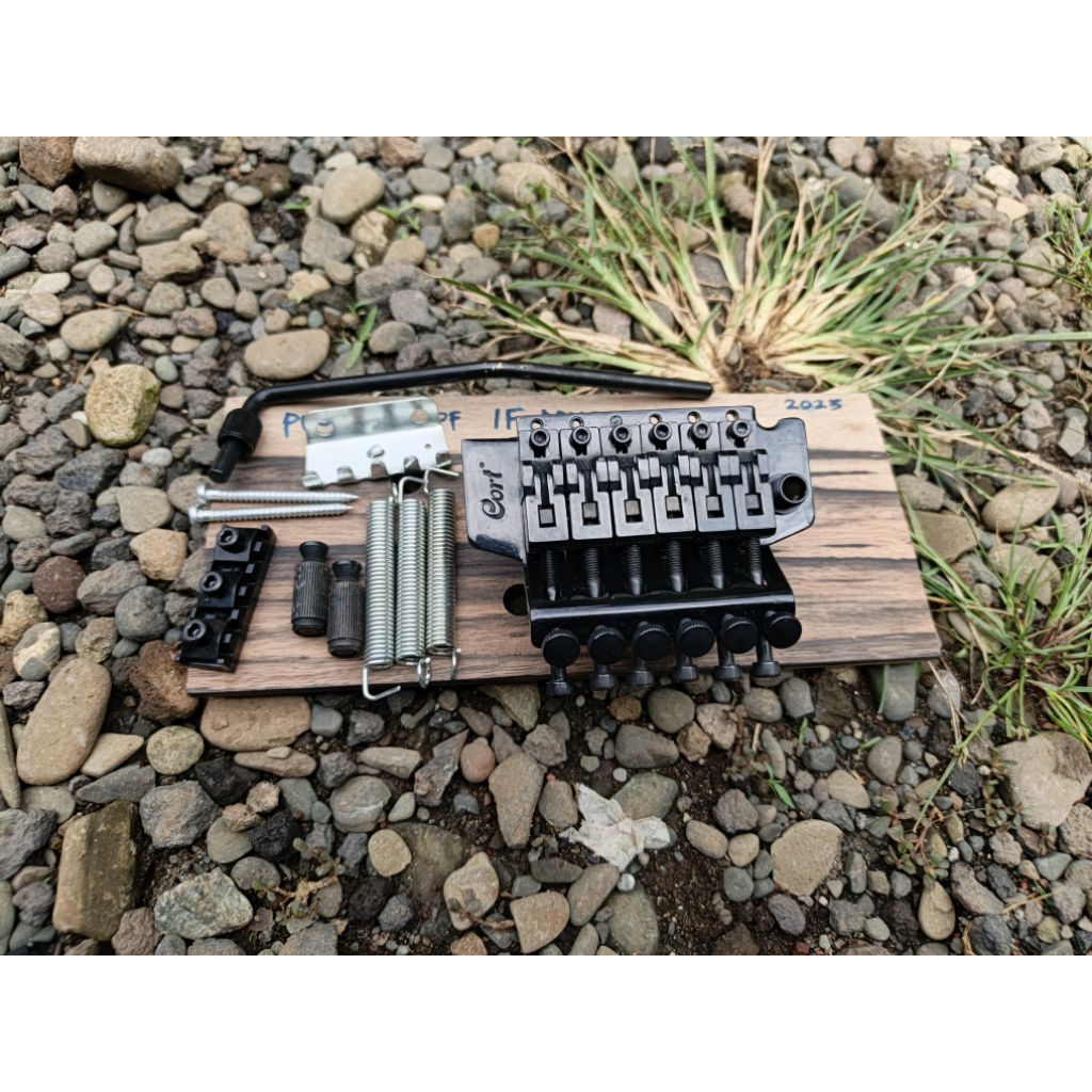 Tremolo Gitar Cort Double Locking II Floydrose FR