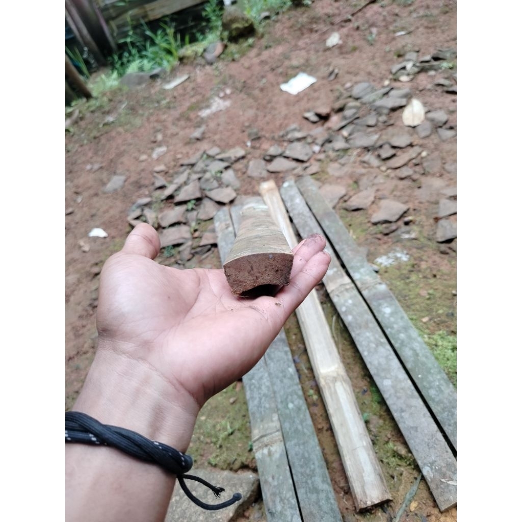 bambu petung tebal panjang 70cm