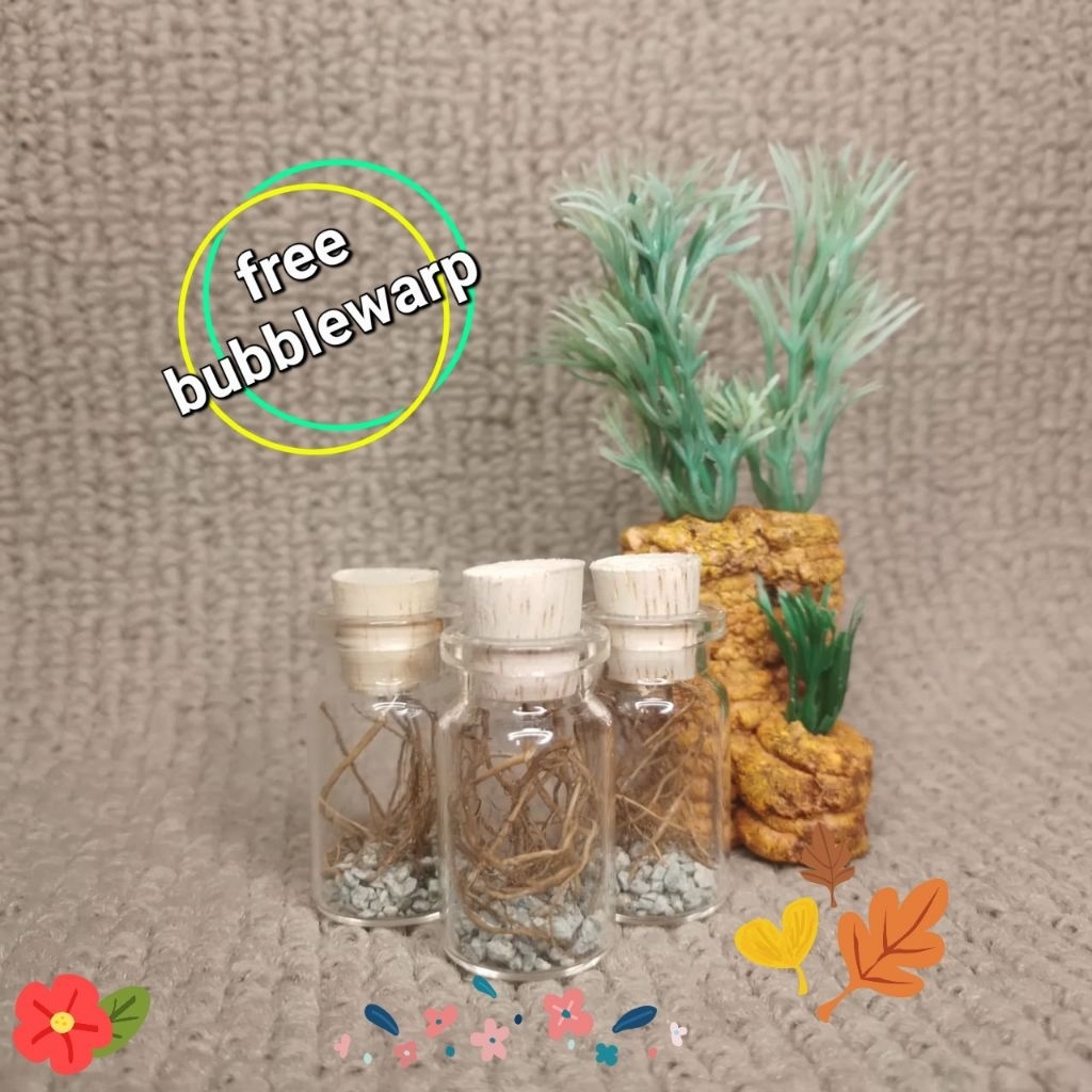 hiasan botol kaca aesthetic/souvenir botol kaca