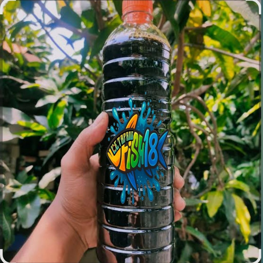 Ketapang Tica Super Hf Cair