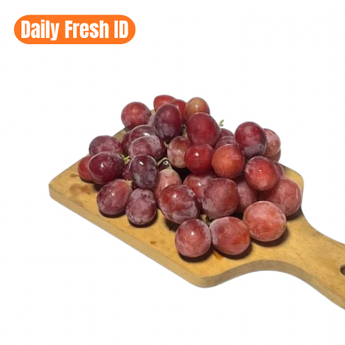 BUAH ANGGUR MERAH IMPORT SEGAR KEMASAN 500 GRAM