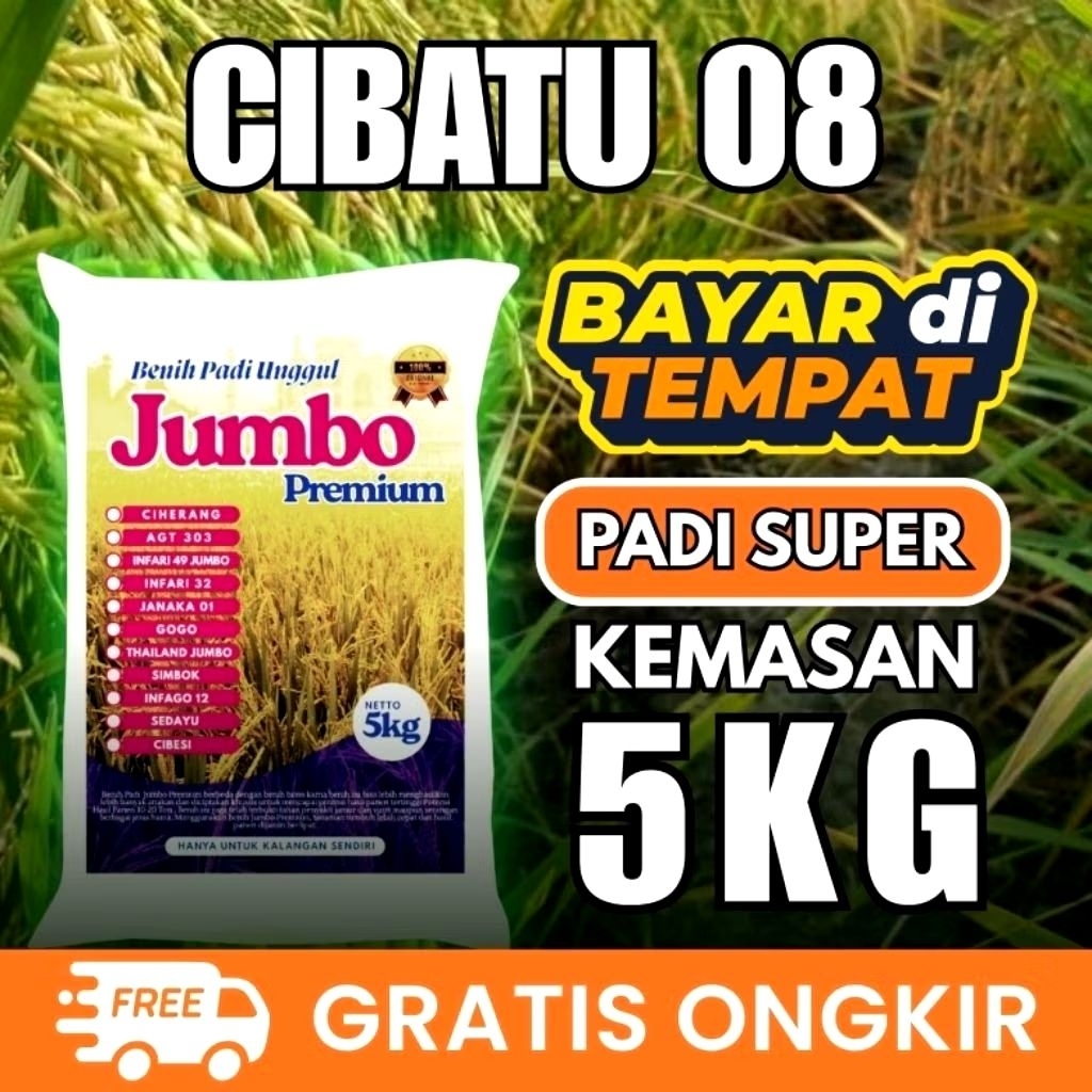 MP- Benih Padi Unggul Cibatu 08 Kemasan 5Kg Original Premium