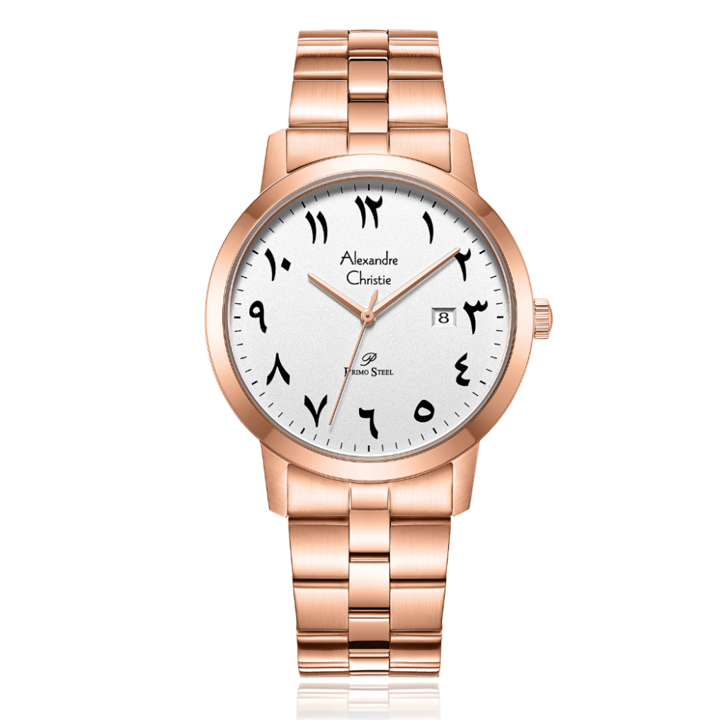 Alexandre Christie ACF1007 MDBRGSLBA Jam Tangan Pria