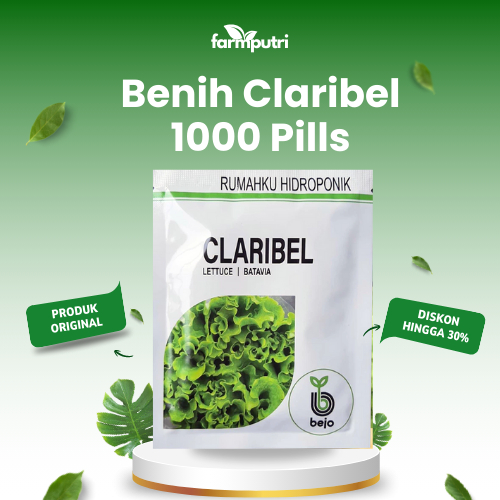 Benih Selada CLARIBEL Bejo seed Benih Lettuce Batavia Benih Selada bejo Original