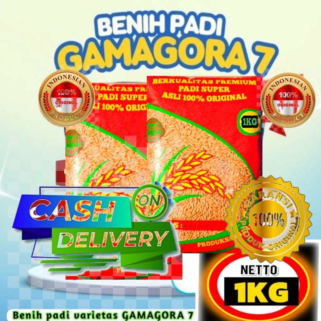 BENIH PADI GAMAGORA 7 SUPER PALING UNGGUL TERBARU BERKUALITAS KEMASAN 1KG.