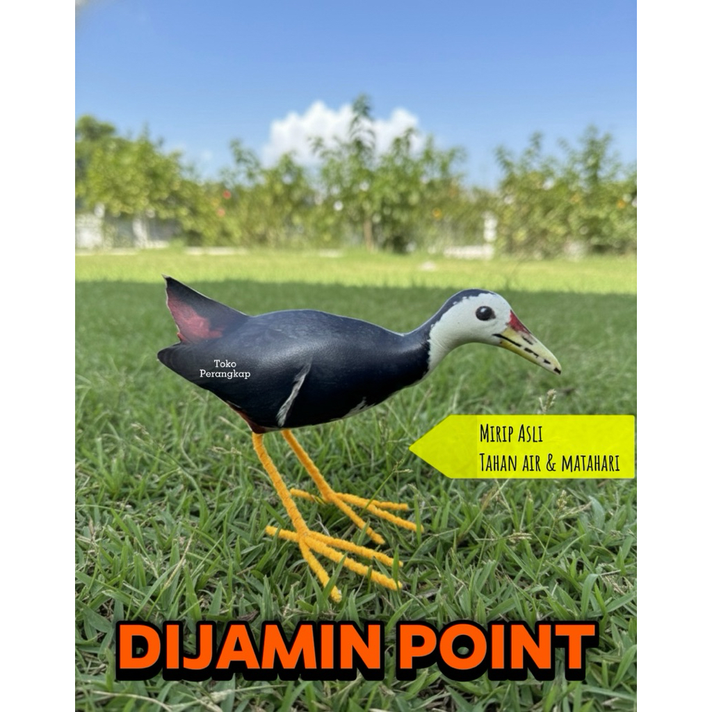 Patung pikat ruak ruak