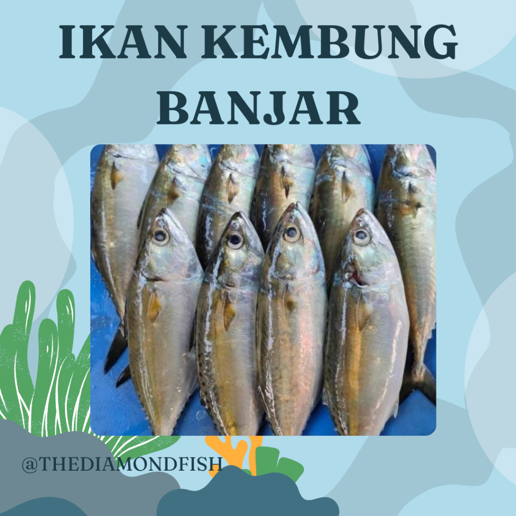 Ikan Kembung Segar 1 Kg Ikan Kembung Banjar