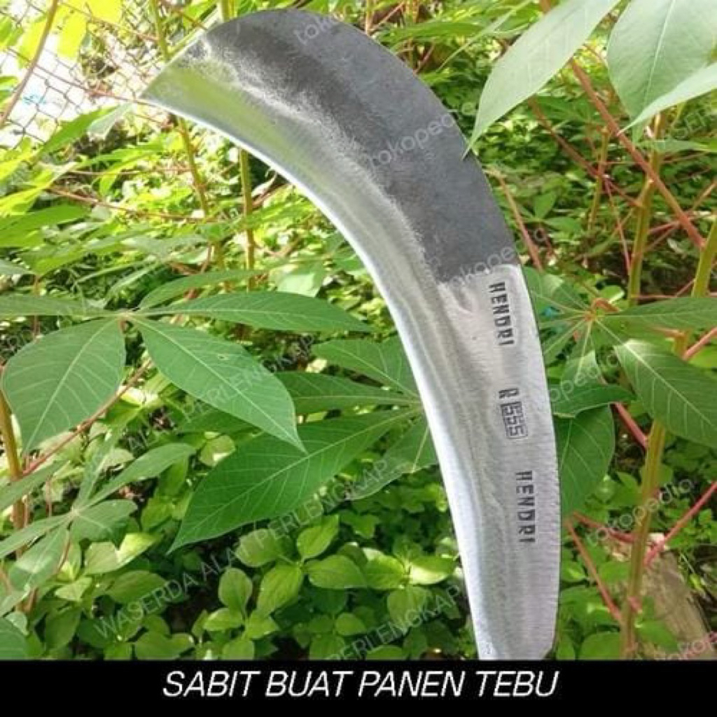 sabit gobang / sabit panen tebu, terbuat dari per baja berkualitas
