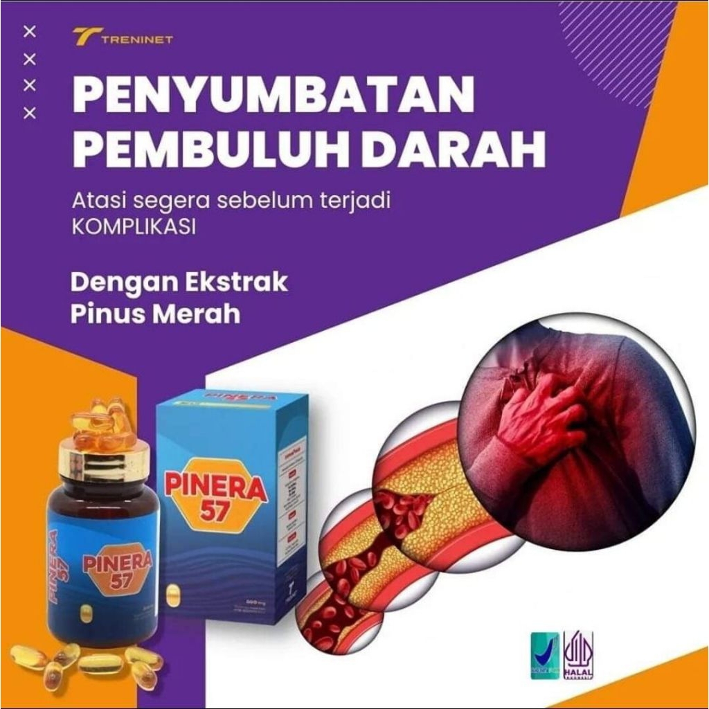PINERA57 100% ORIGINAL 1 BOX OBAT DIABETES STROKE KOLESTEROL JANTUNG ASAM URAT PINERA 57