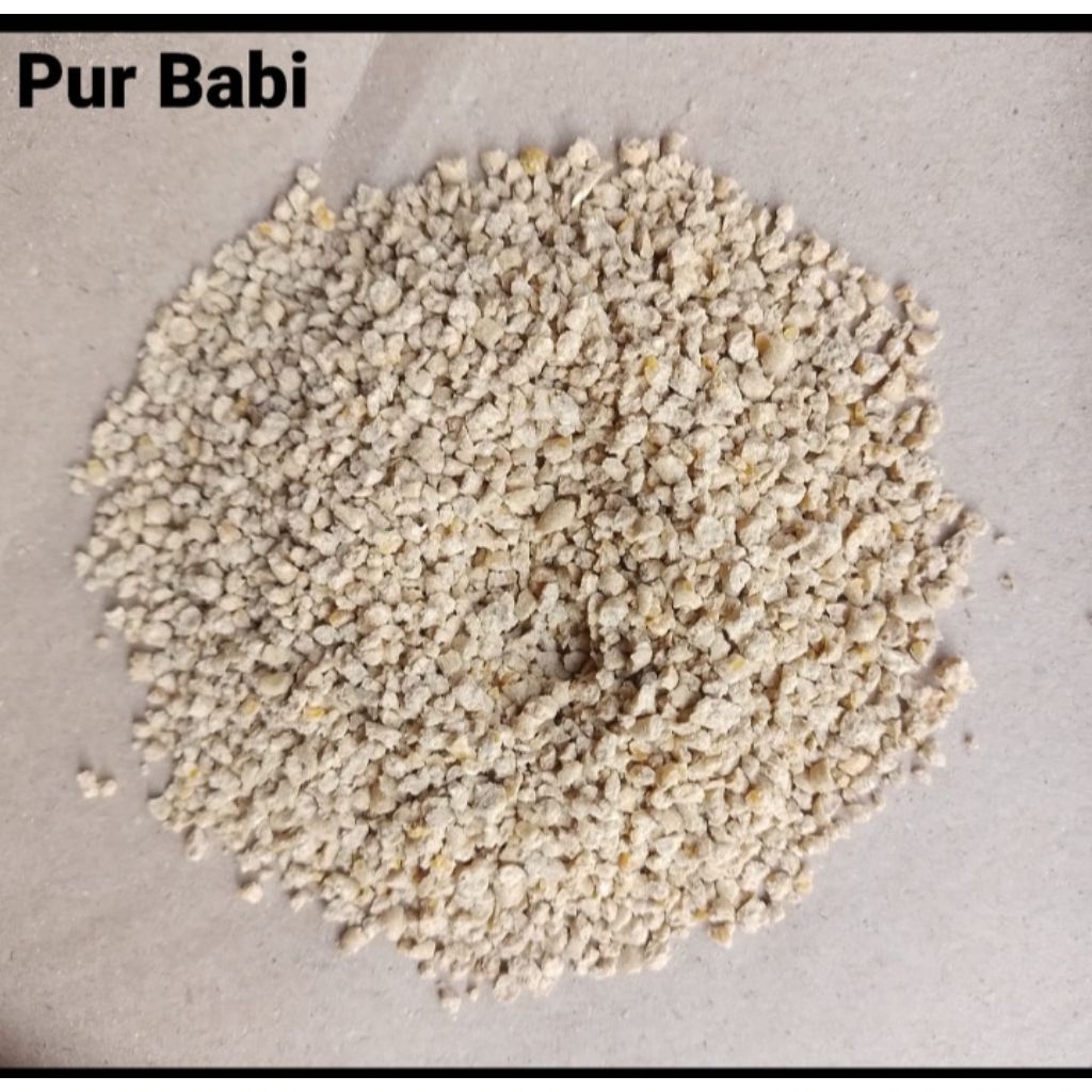 Pur Babi Untuk Pakan Ternak