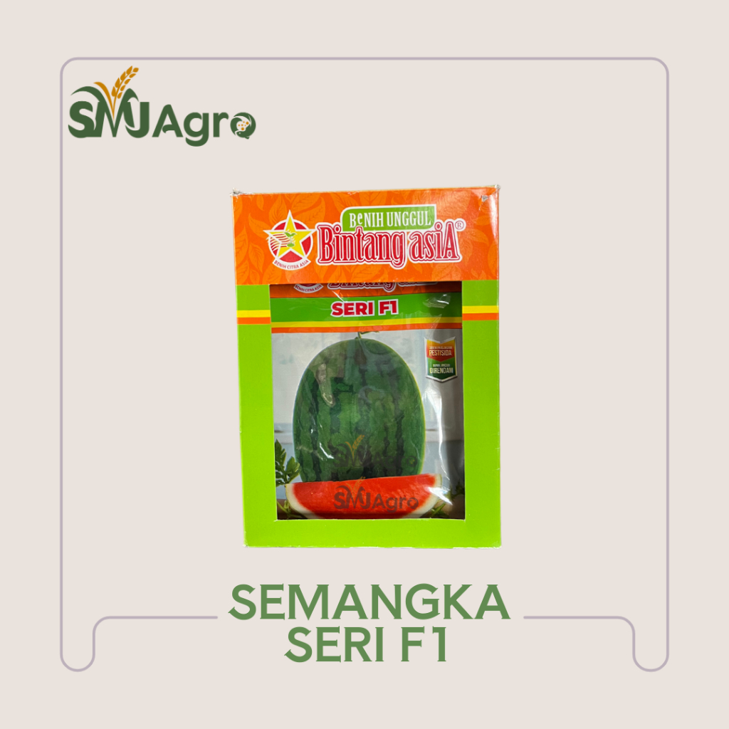 Benih Semangka Seri F1 - Semangka Non Biji Hibrida Bintang Asia