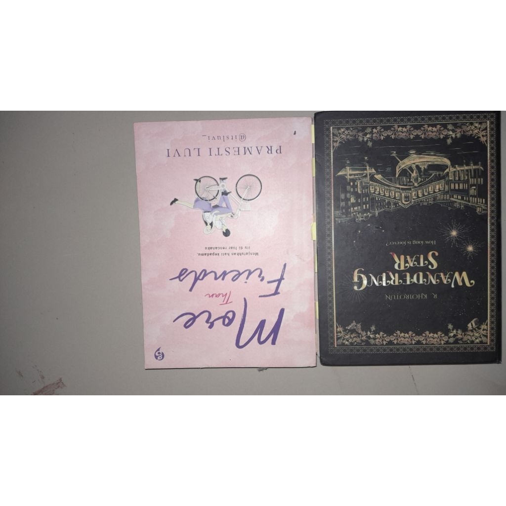 preloved novel wandering star Hard cover