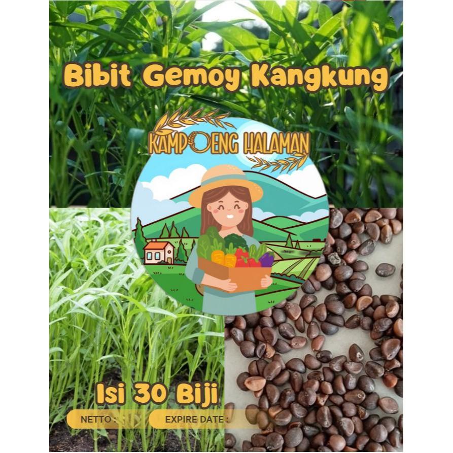 Bibit Gemoy Kangkung | Biji Benih Kangkung
