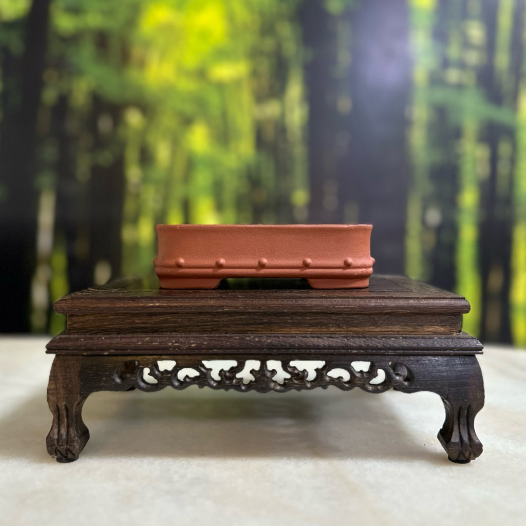 Yixing Zisha Drum-Stud Rectangular Bonsai/Succulent Pot