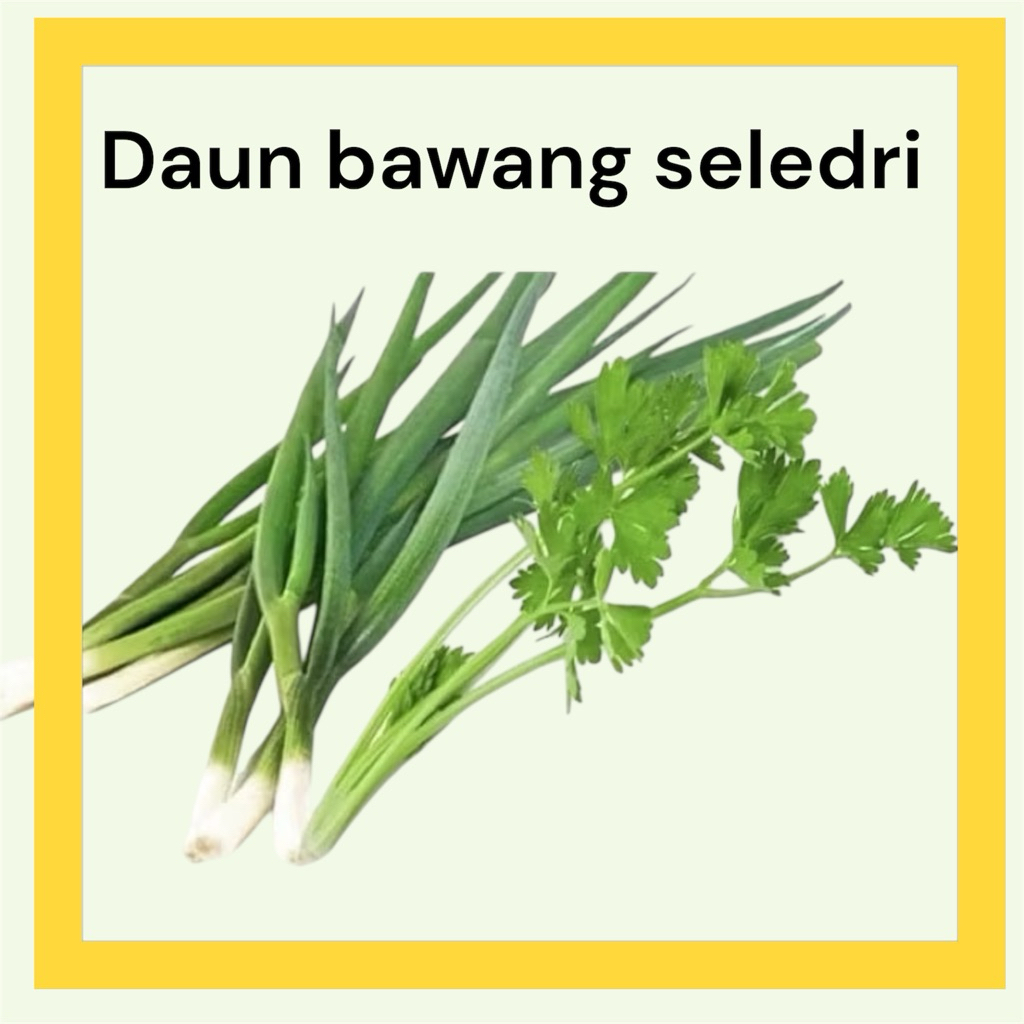 daun bawang seledri