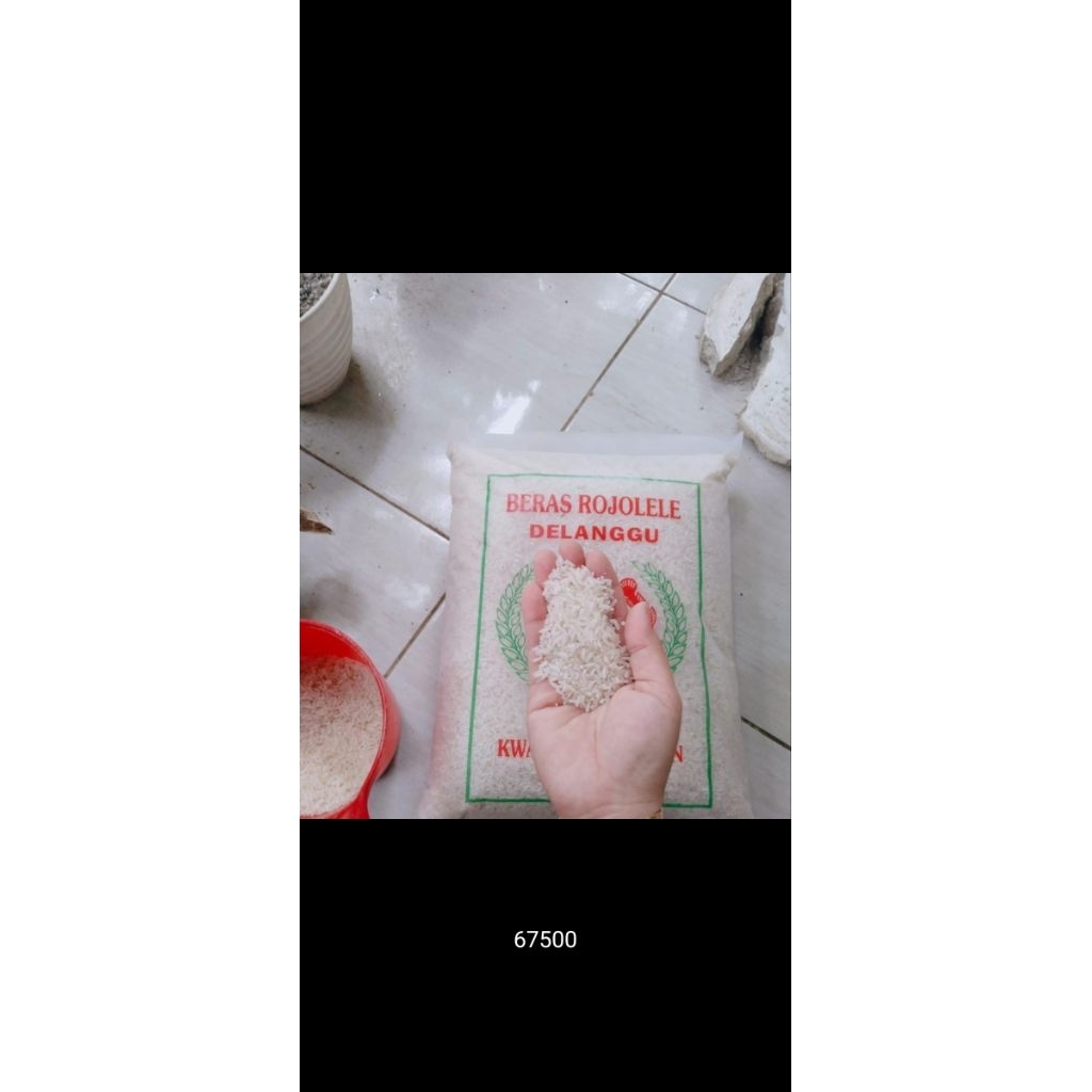 beras Rojo lele asli Delanggu