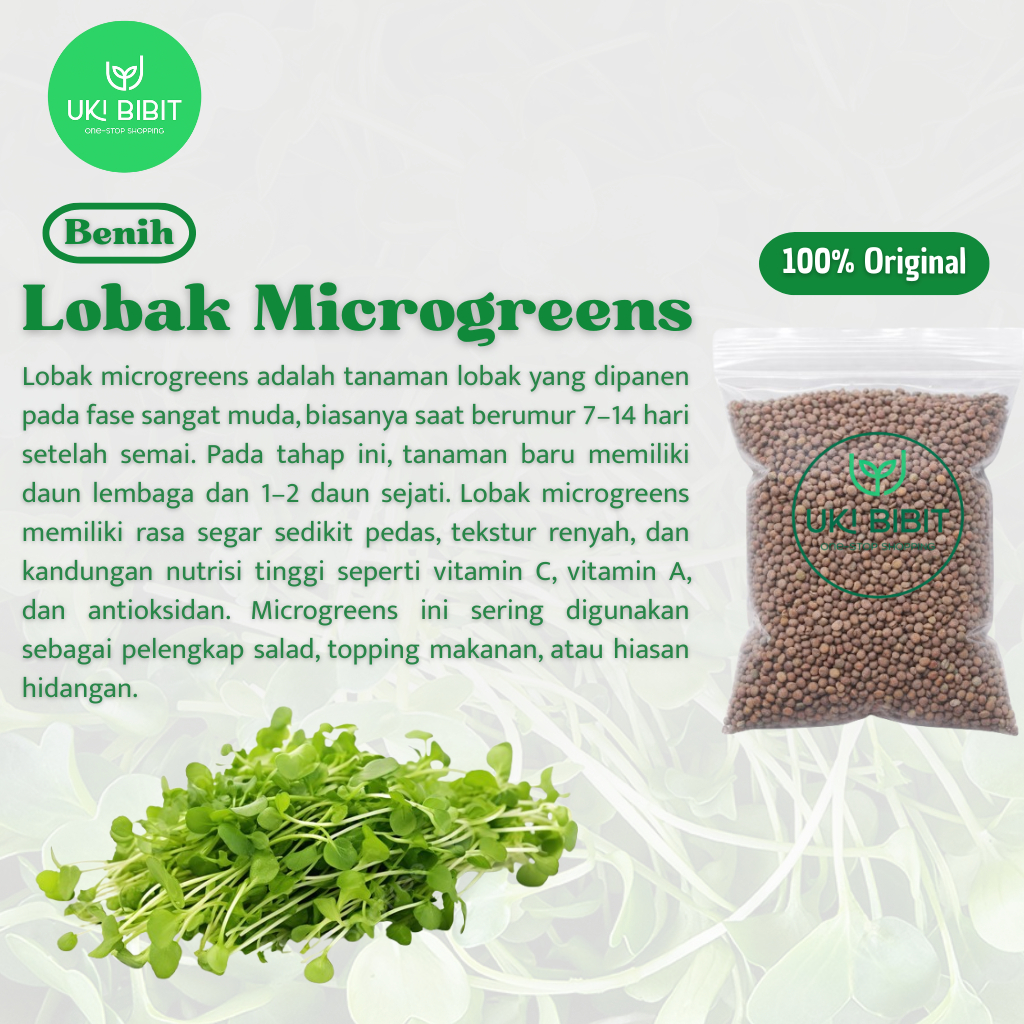 ( 1 Kg ) Benih Biji Lobak Microgreens | Radish Microgreens | Lobak Lalap