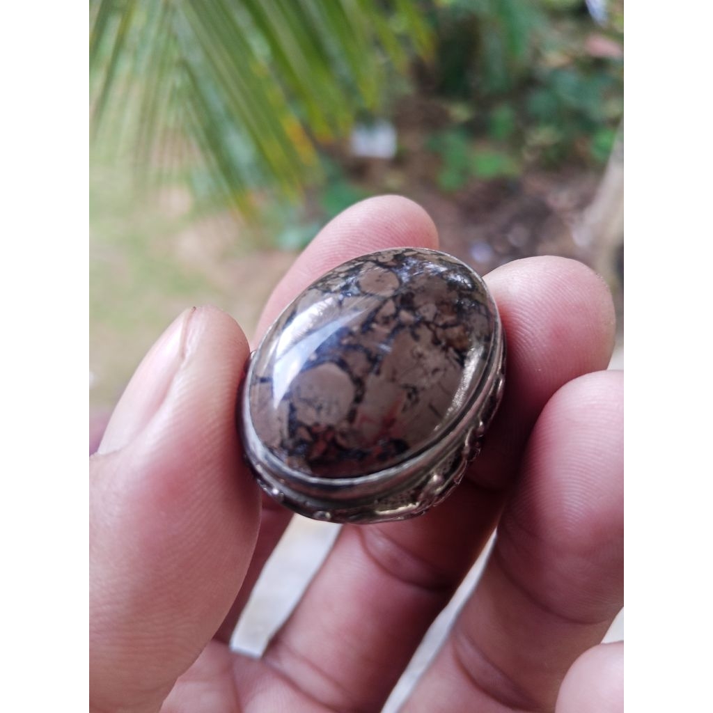 Sisik naga Enrekang Coklat body glass