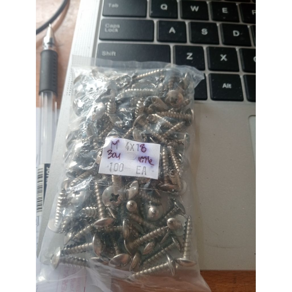 paket 100pcs sekrup TSAT stainless sekrup speaker stainless 4X18