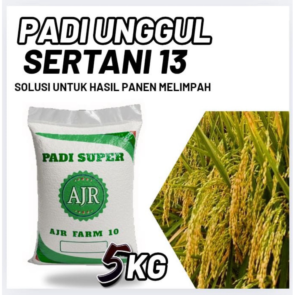 Benih padi unggul  SERTANI 13 (5kg)