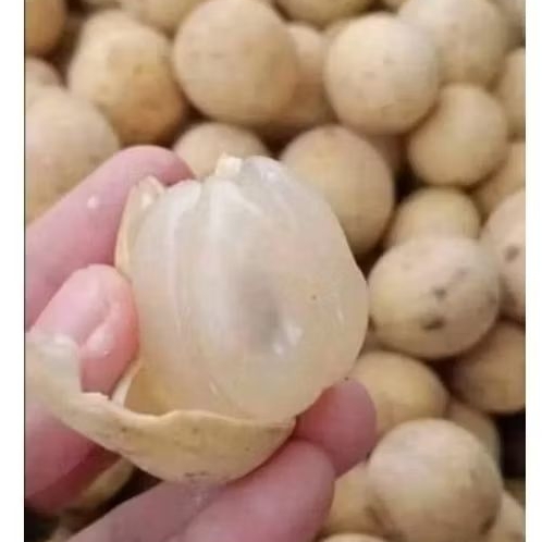 Duku Palembang Manis 1 kg