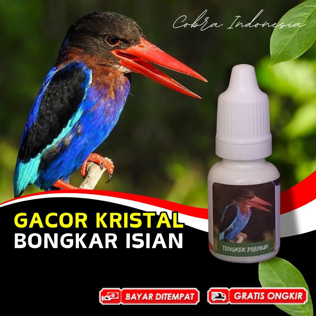 Vitamin Burung Tengkek