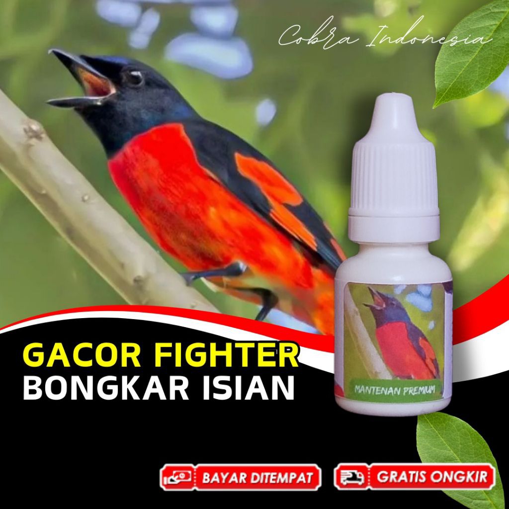 Vitamin Burung Mantenan
