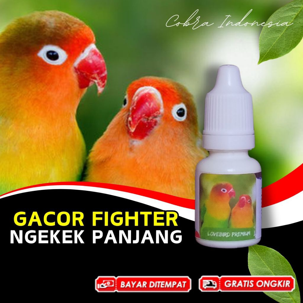 Vitamin Burung Lovebird Fighter Konslet