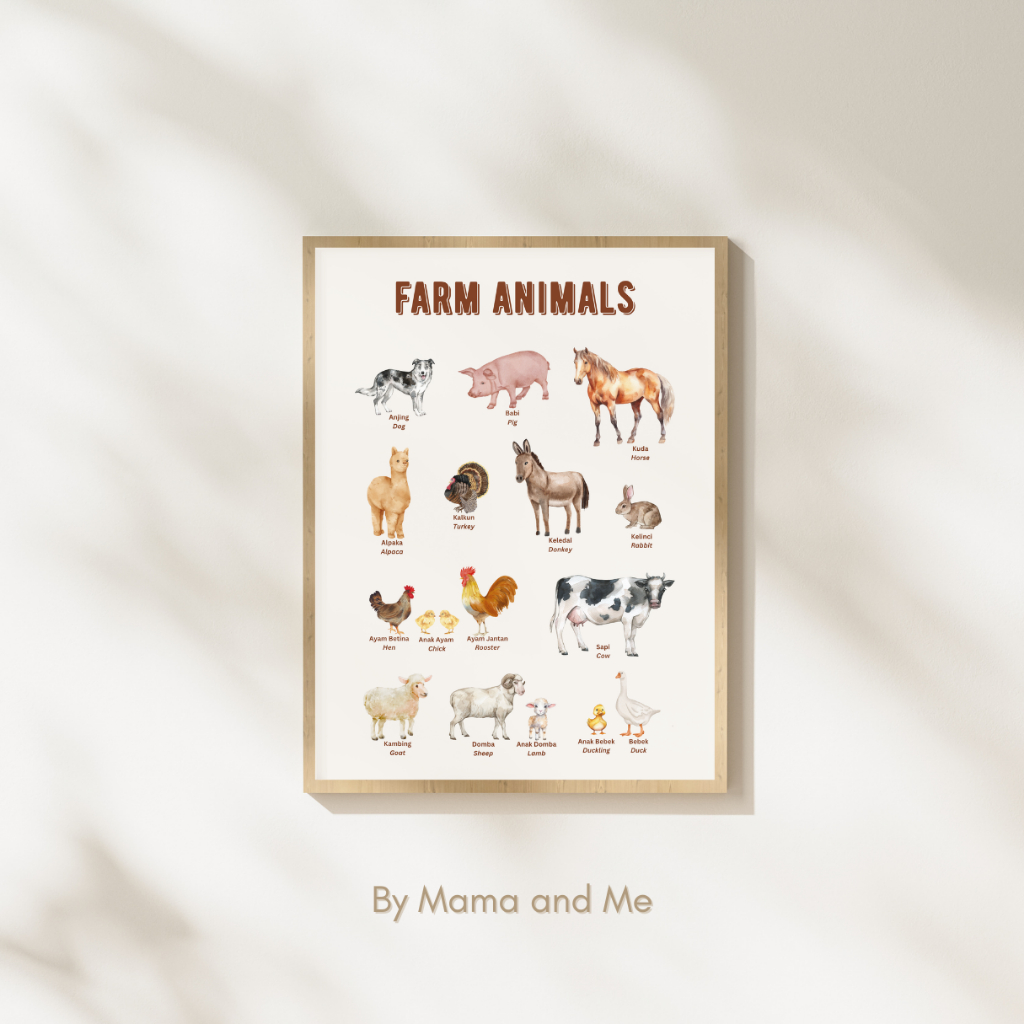 Farm Animal Poster Hewan Ternak Montessori Anak