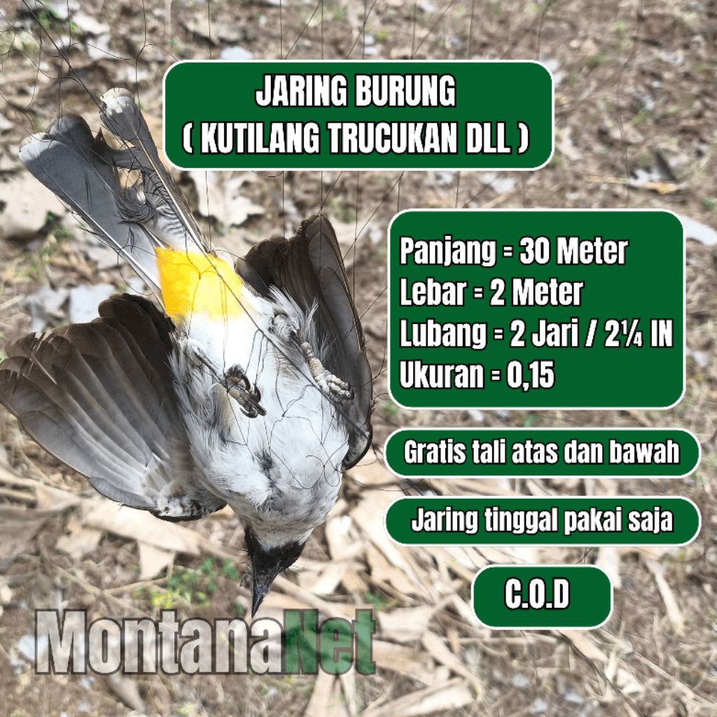 PIKAT BURUNG KUTILANG TRUCUKAN SIAP PAKAI JARING BURUNG SIAP PAKAI MONTANET