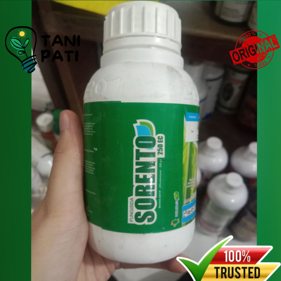 Fungisida Sorento 250EC fungisida sistemik sekaligus zat pengatur tumbuh (ZPT) berbahan aktif difeno