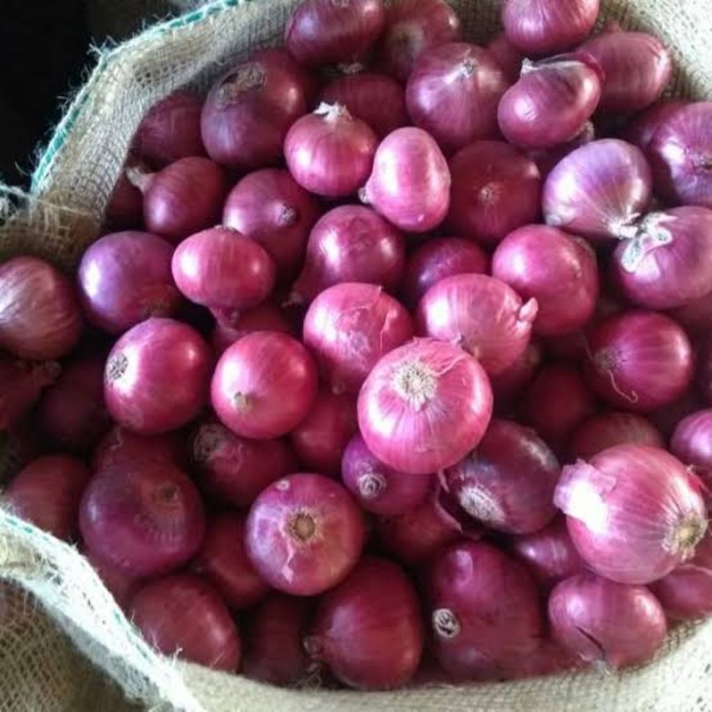 Bawang Merah India