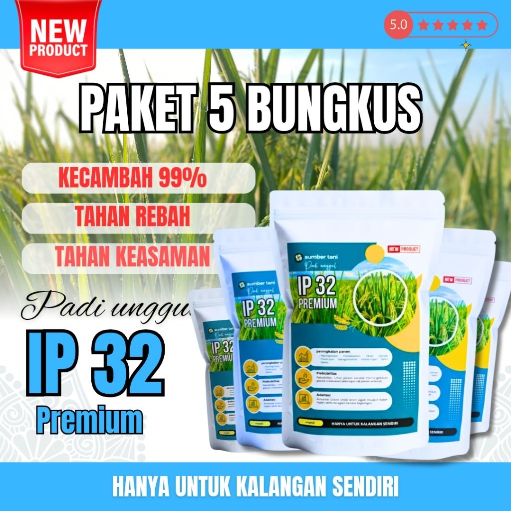 Benih padi unggul ip 32 jumbo 5KG ( BIBIT PADI UNGGUL IP 32 )