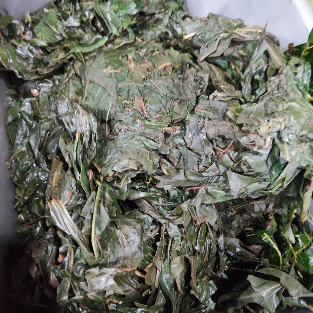 Daun Singkong Rebus 250 Gram (SUDAH DIREBUS)