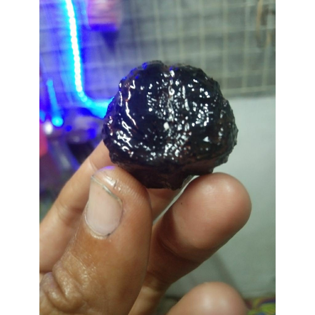 Muncang Adu Eti Karanje Bahan Kojo