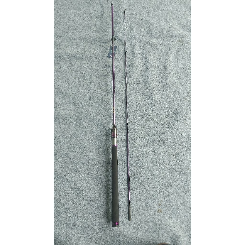 Joran Custom Daiwa Libera TD