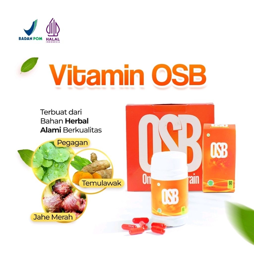OSB OSB Vitamin Otak ASLI OSB OMAR SMART BRAIN NUTRISI KECERDASAN OTAK - OSB KAPSUL