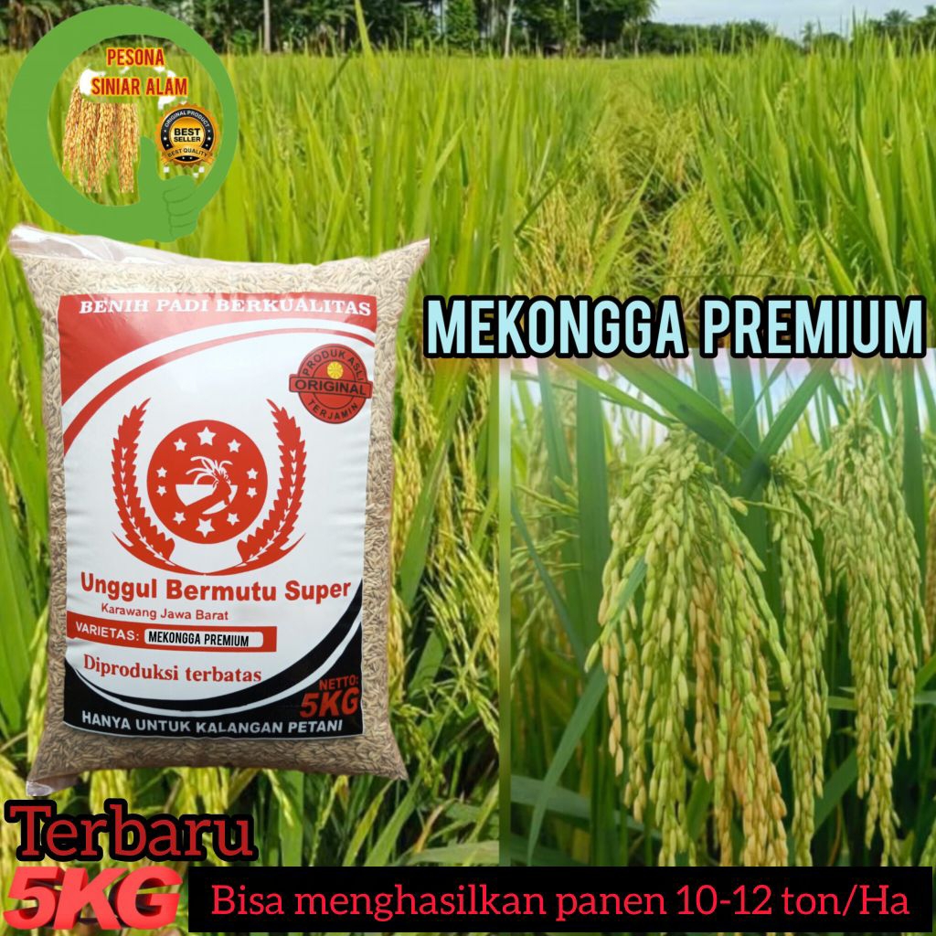 BIBIT PADI MEKONGGA PREMIUM SUPER 5Kg KUALITAS TERJAMIN