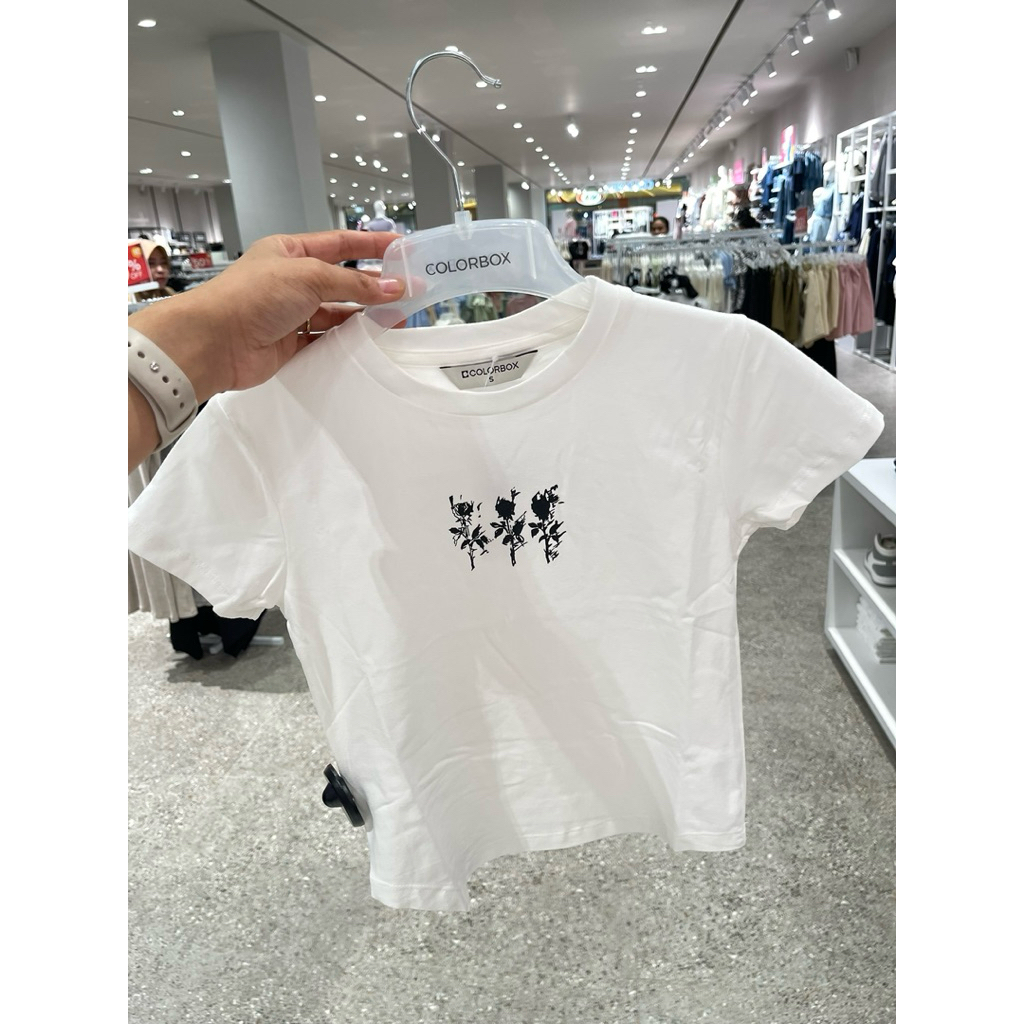 READY STOK  TSHIRT COLORBOX SALEE 100% ORIGINAL | KAOS WANITA | KAOS COLORBOX | BAJU BRAND