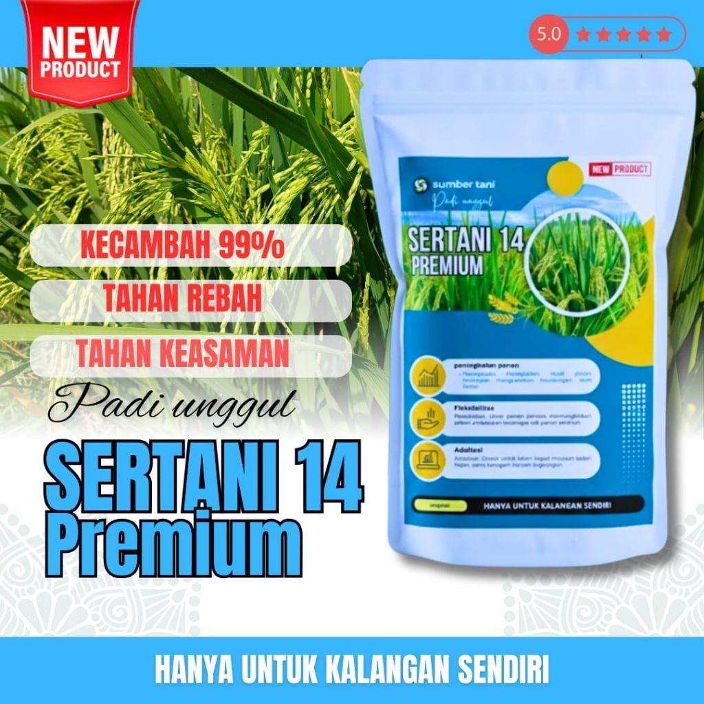 benih padi unggul sertani 14 ( BIBIT PADI UNGGUL SERTANI)