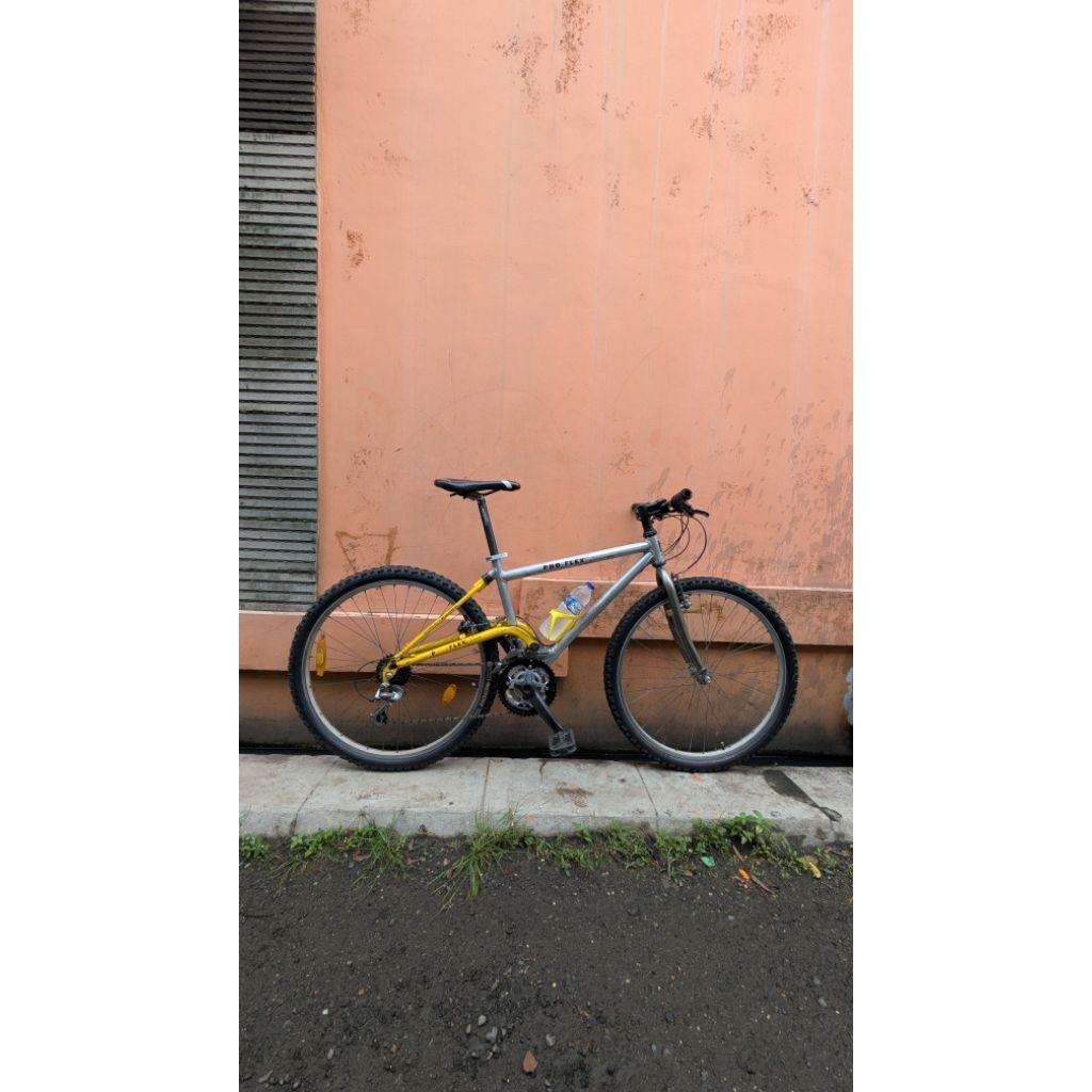 Proflex USA elevated bike