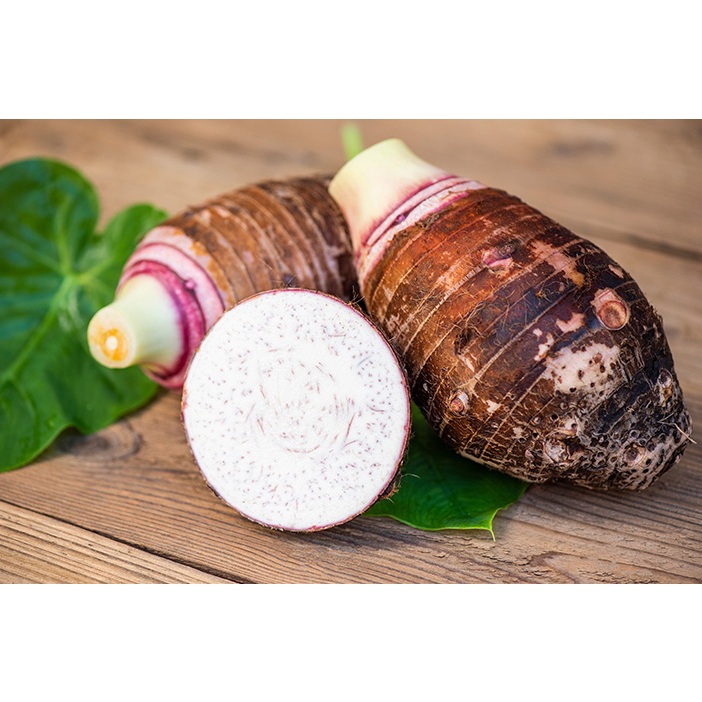 talas bogor per pcs/ talas bogor batang ungu / talas ketan