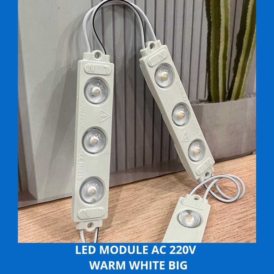 Led Module AC 220V Warm White big