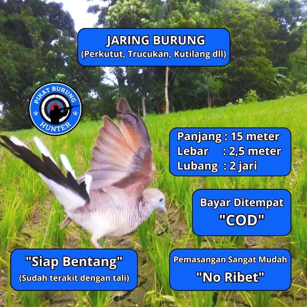 JARING BURUNG TEKUKUR 3 JARING BURUNG KUTUT JARING BURUNG KUTUT JARING BURUNG BESAR JARING BURUNG 2 